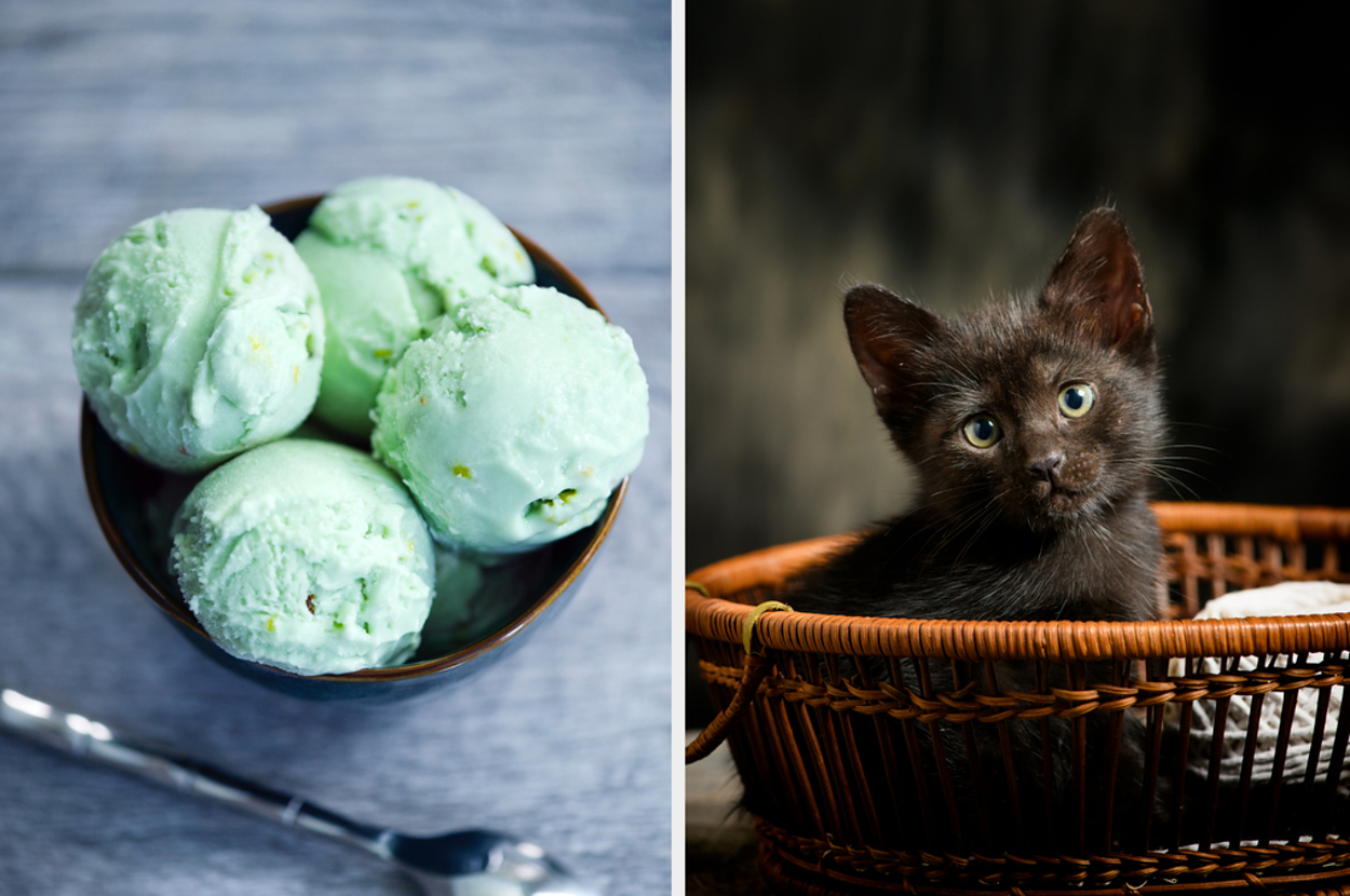 Left: A bowl of ice cream. Right: A kitten inside a basket