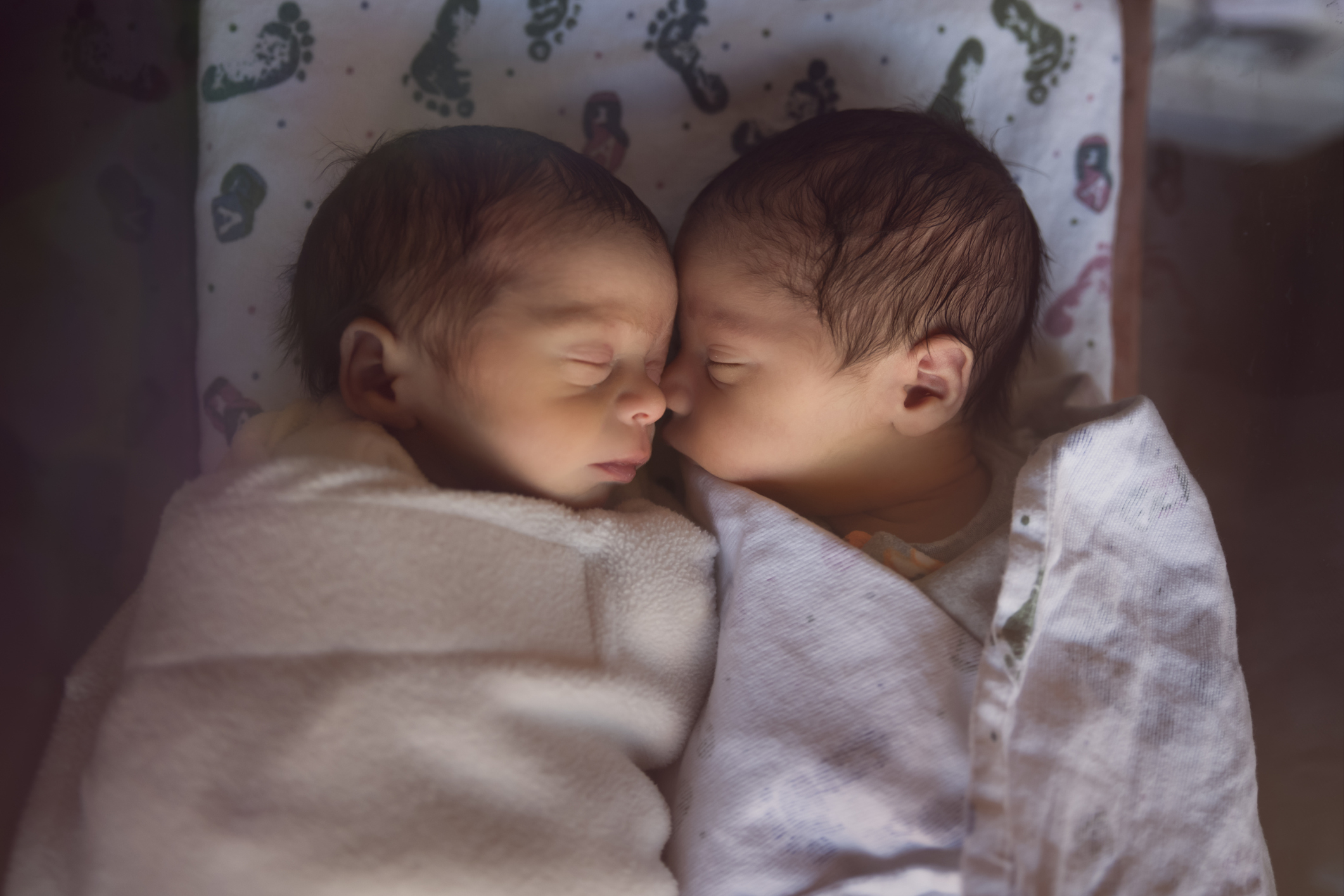 Newborn twins swaddled and sleeping side by side