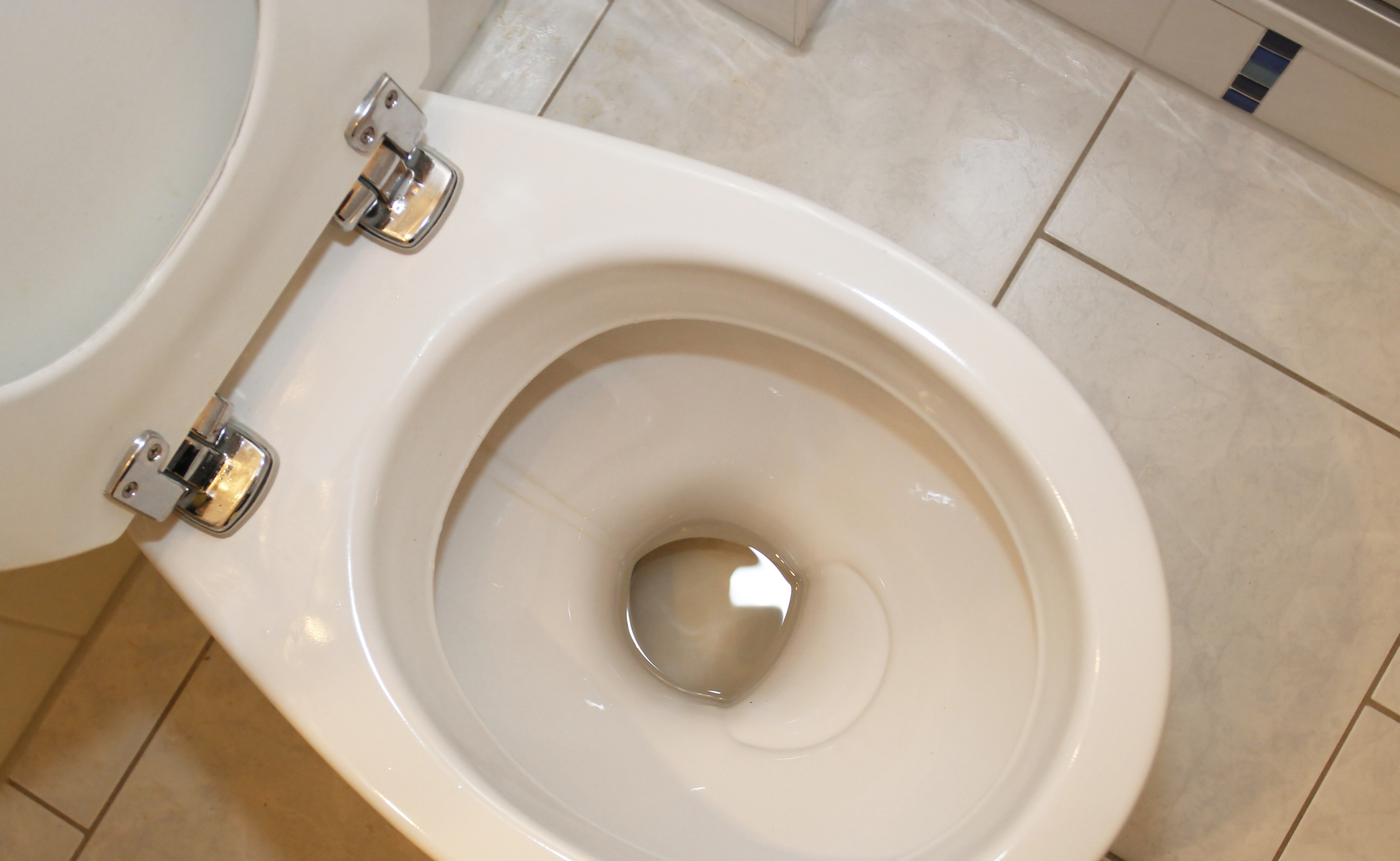 Close-up of an open toilet in a bathroom. No people are visible