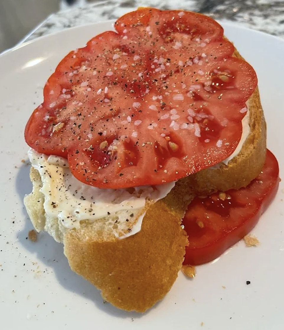 A slice of bread topped with cottage cheese and tomato slices, garnished with pepper and salt