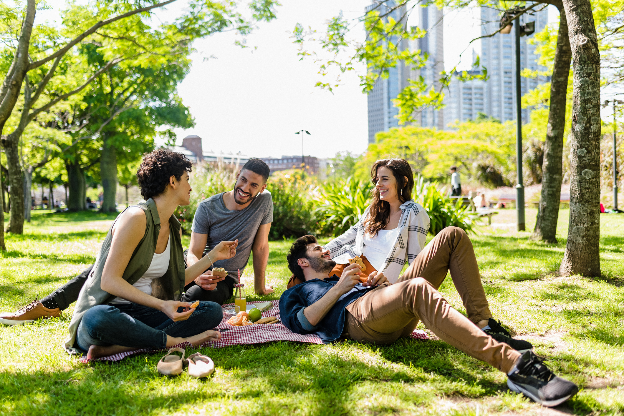 Four friends enjoying a picnic in a park.

