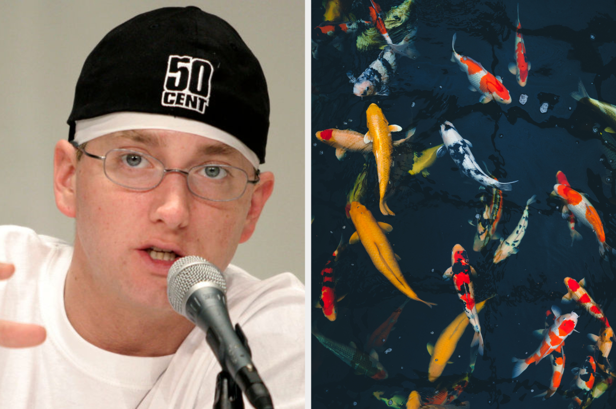 Person wearing a 50 Cent cap speaking into a microphone; adjacent image of koi fish swimming in a pond