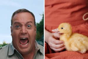Man making excited face next to duckling held by person in orange fabric