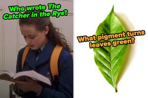 On the left, Rory Gilmore reading a book labeled who wrote The Catcher in thE Rye, and on the right, a leaf labeled what pigment turns leaves green
