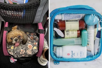 travel pet carrier and a clear toiletries pouch
