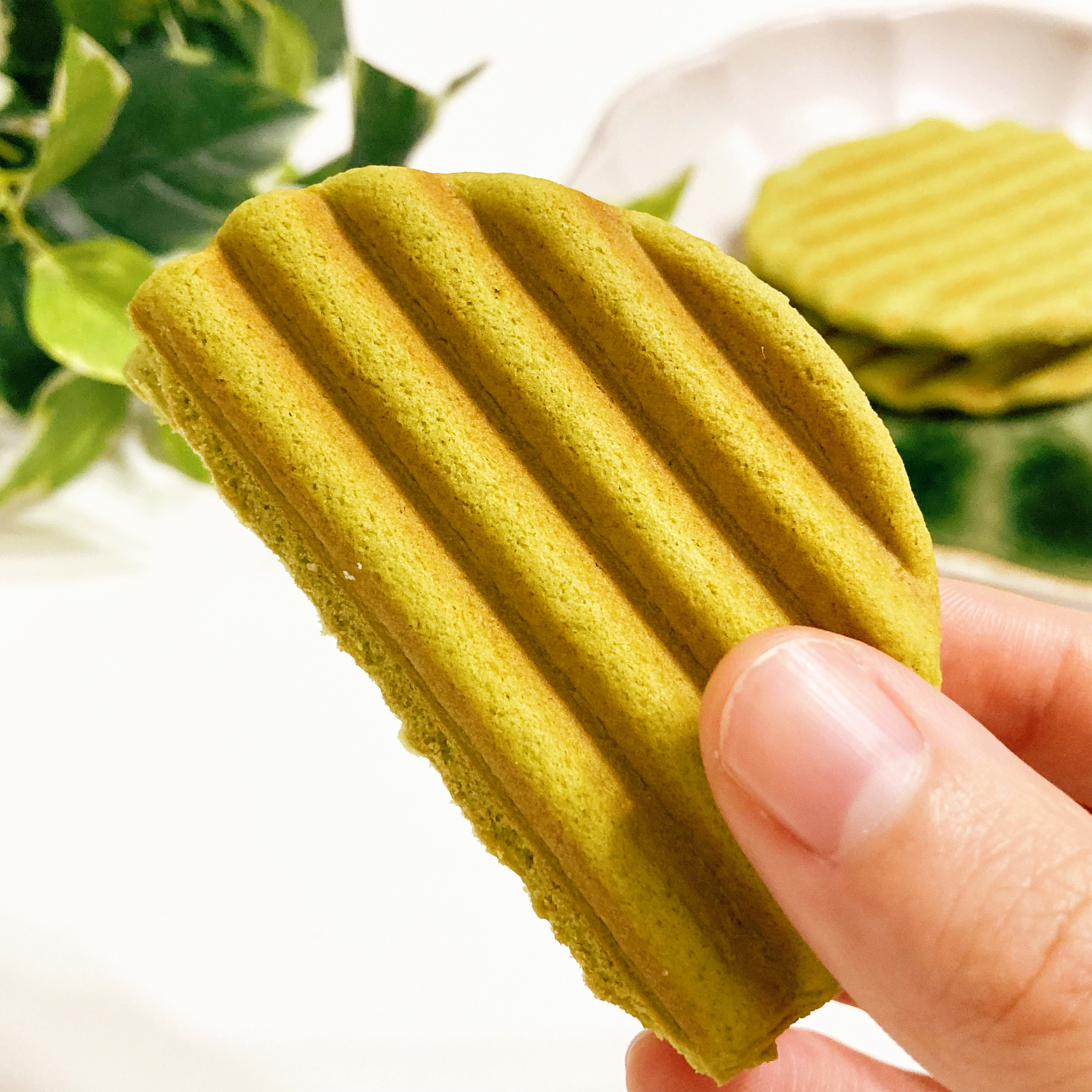 3COINS（スリーコインズ）の季節限定お菓子「ヴァッフェル 宇治抹茶」