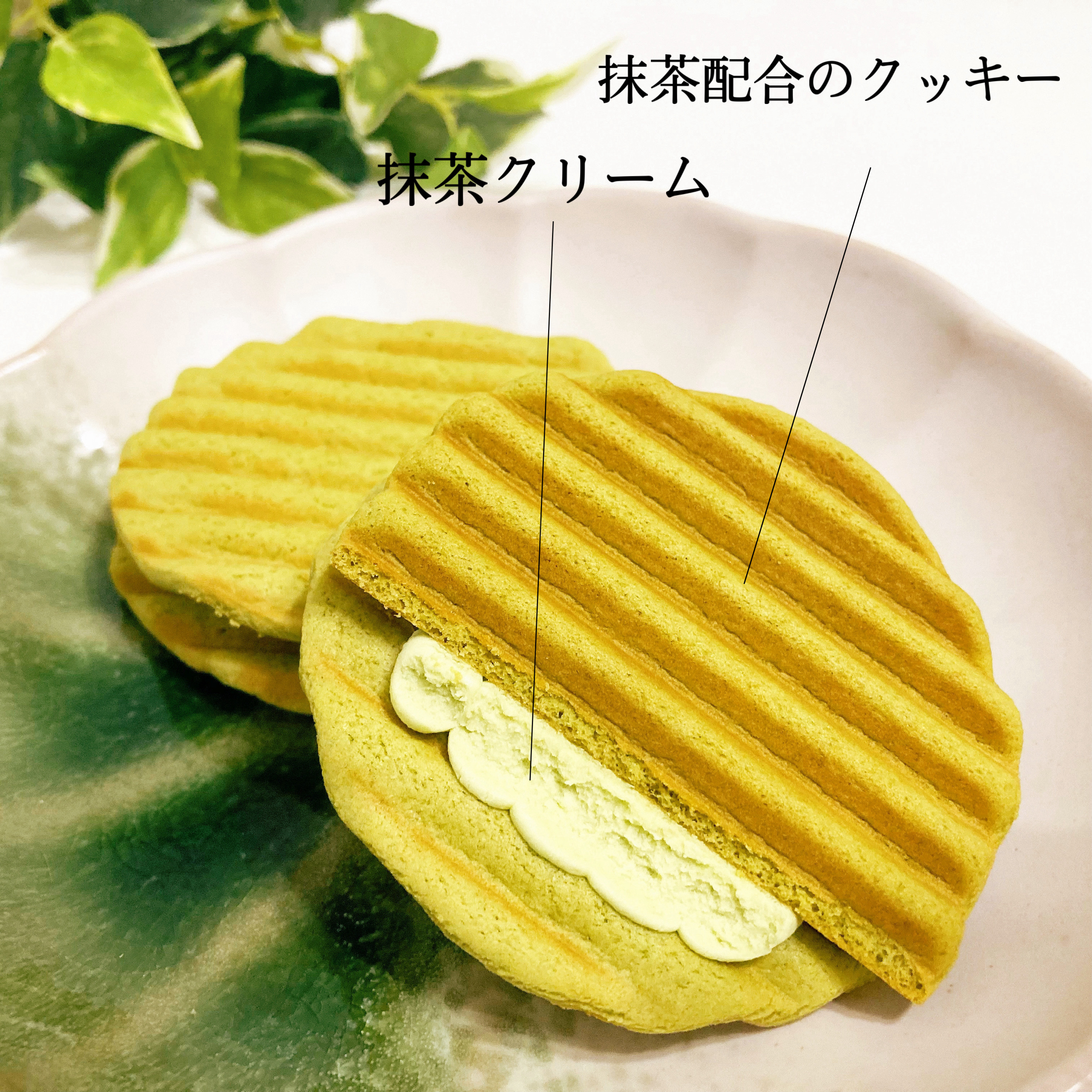 3COINS（スリーコインズ）の季節限定お菓子「ヴァッフェル 宇治抹茶」