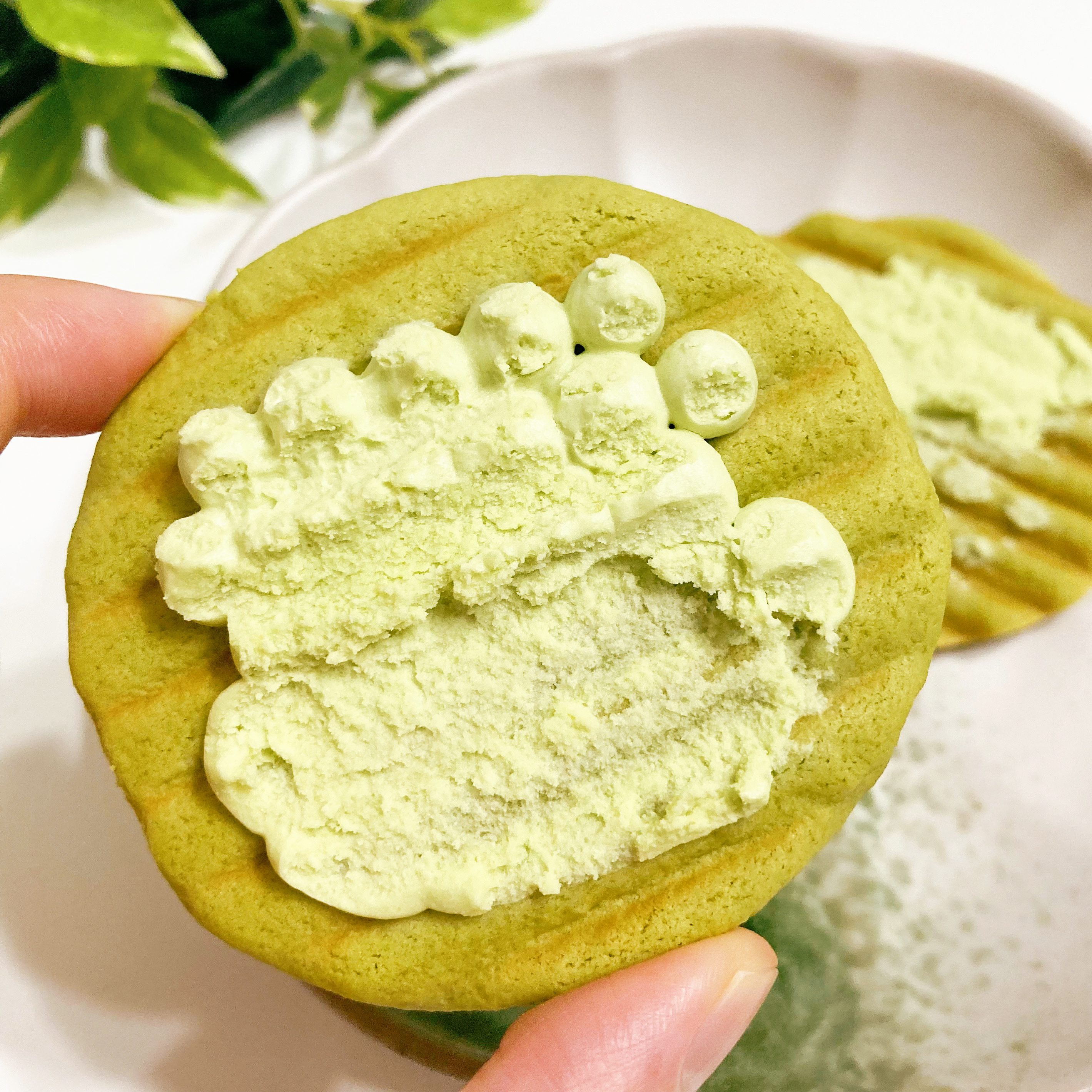 3COINS（スリーコインズ）の季節限定お菓子「ヴァッフェル 宇治抹茶」