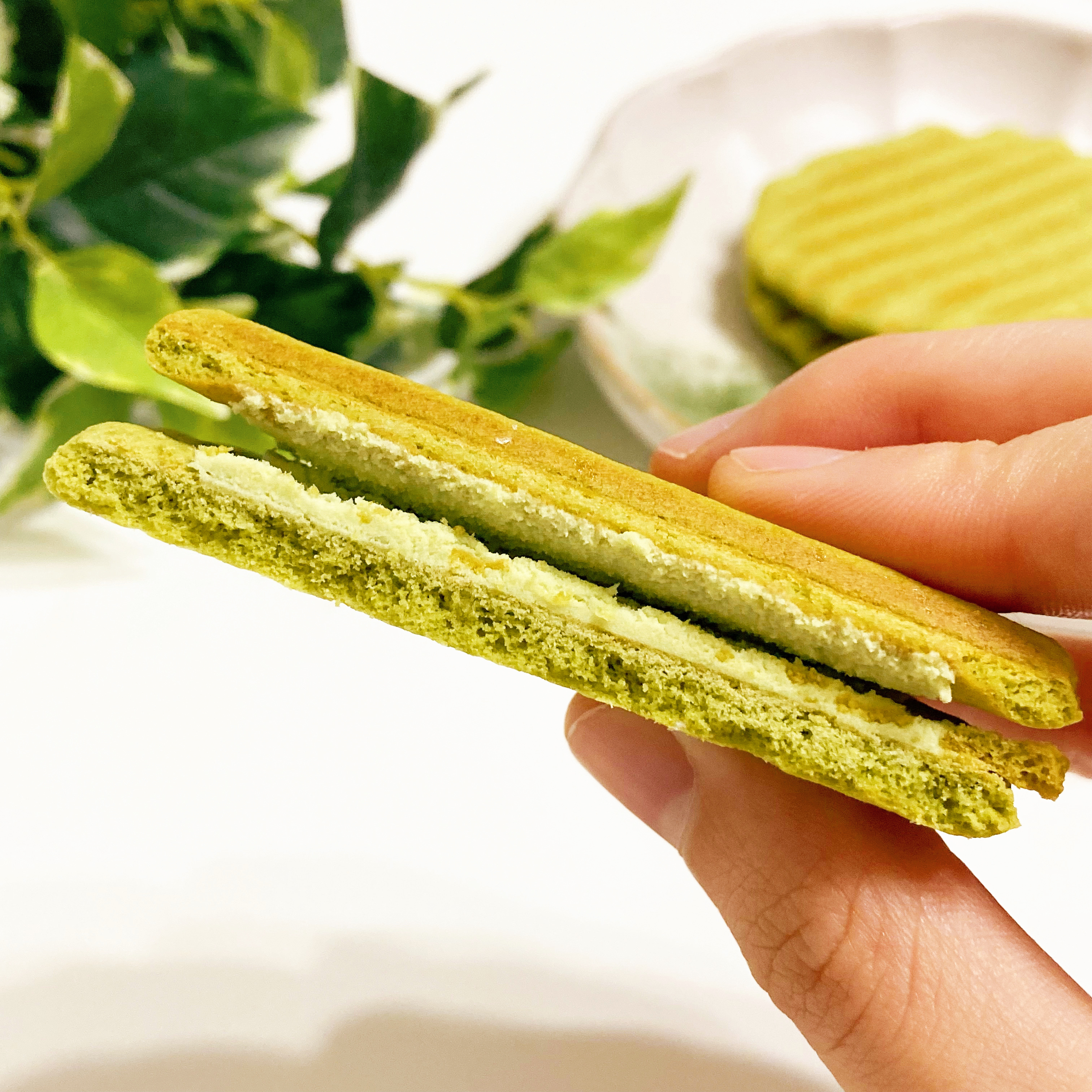 3COINS（スリーコインズ）の季節限定お菓子「ヴァッフェル 宇治抹茶」