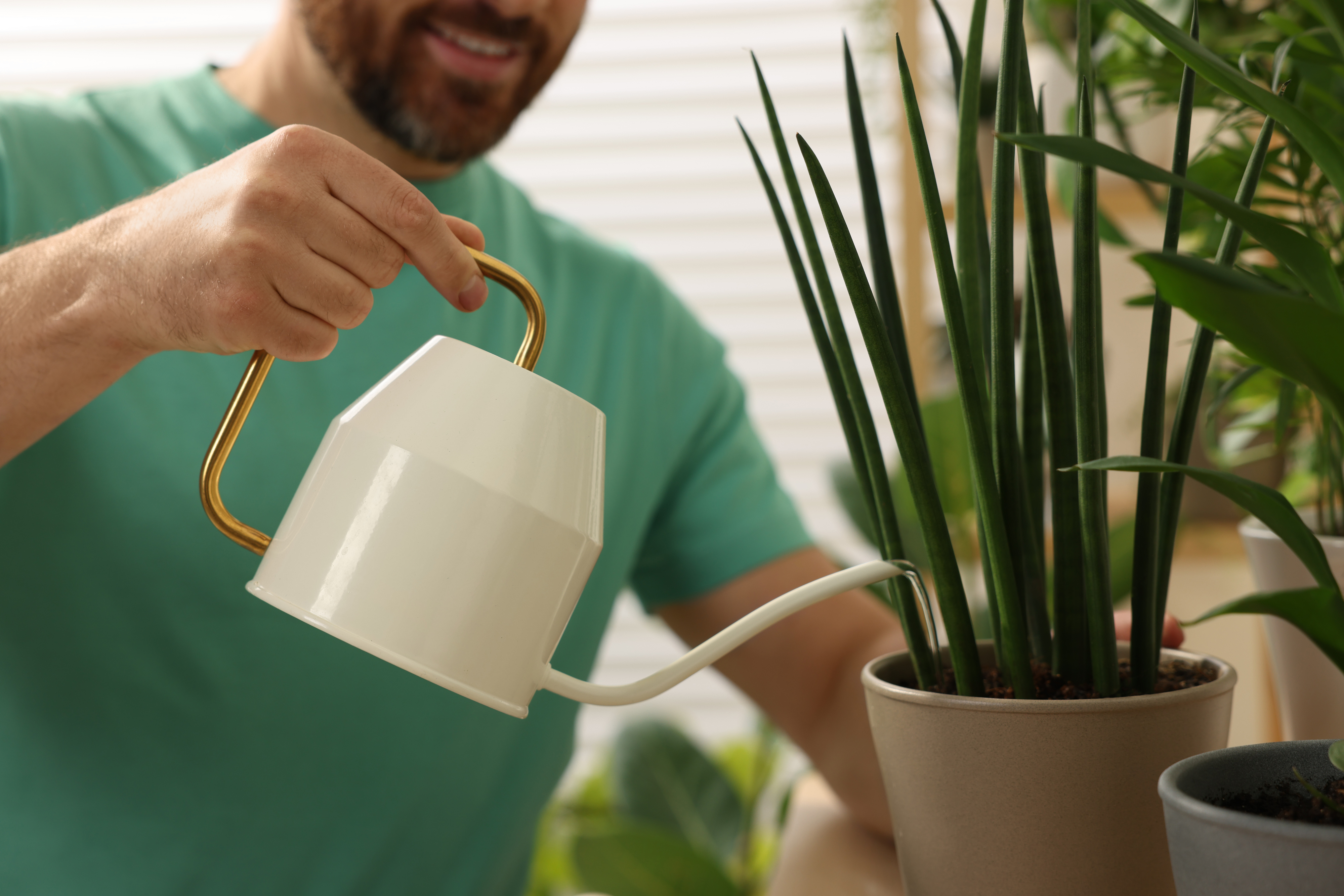Person watering houseplant, smiling, focus on watering can and plant