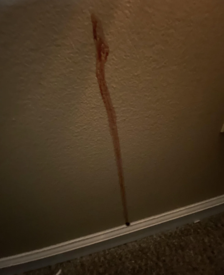 Streak of a viscous substance dripping down a wall above a baseboard
