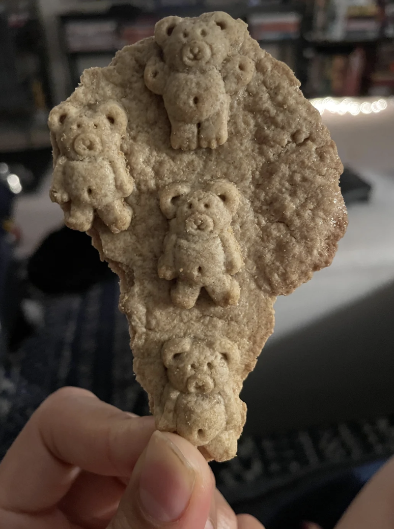 Hand holding a cookie with teddy bear shapes imprinted on it