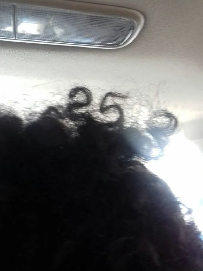 Silhouette of a person&#x27;s curly hair against a car ceiling, with sunlight filtering through the hair