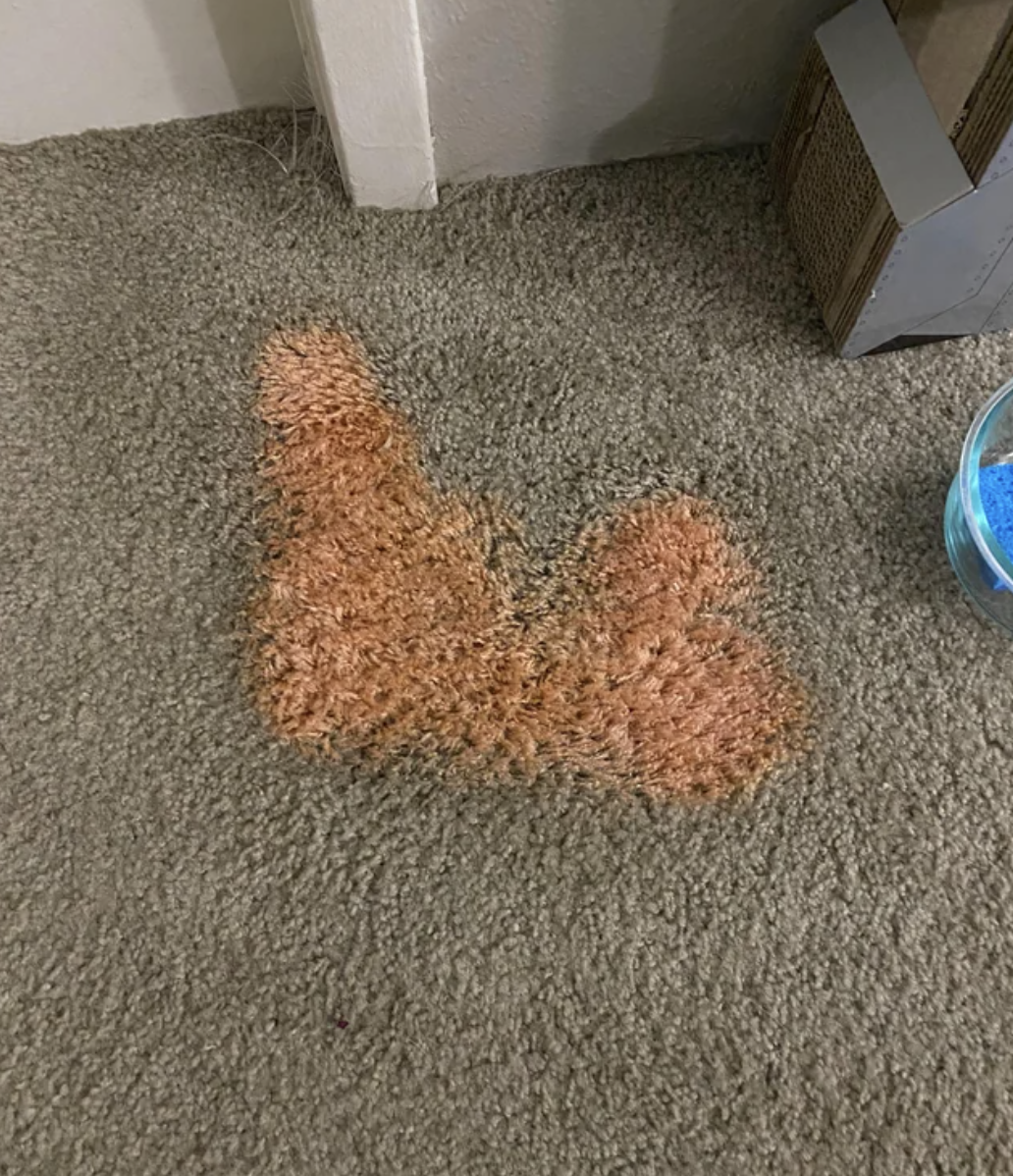 Carpet with large, irregular stain near a wall and a door, in a home setting