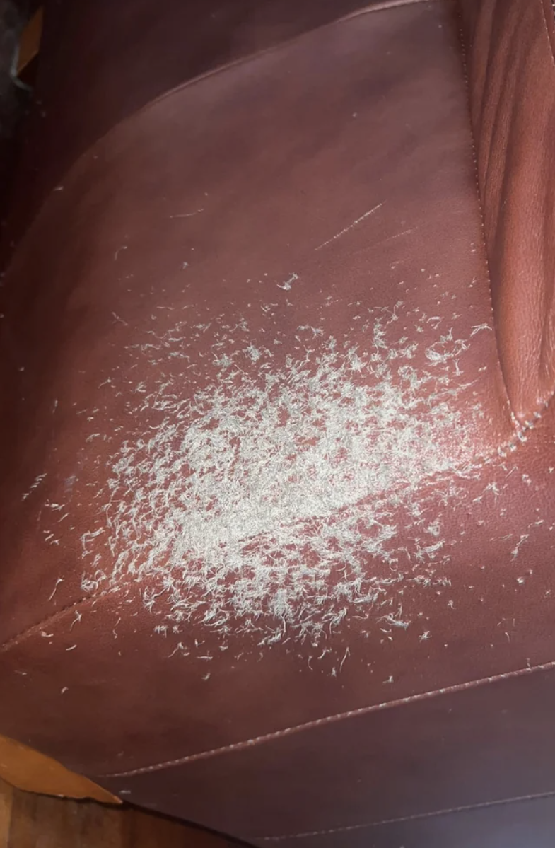 A scratched leather couch with white marks