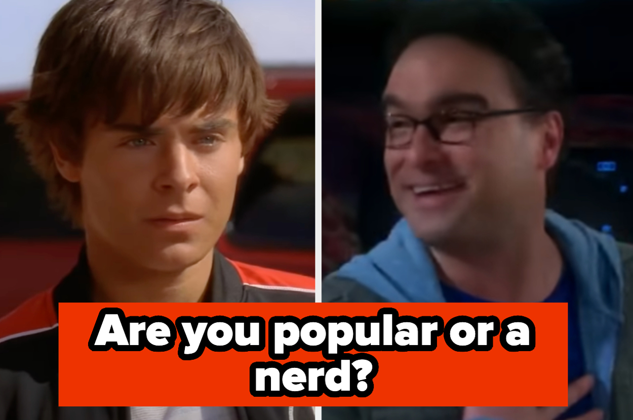 Split image with Troy from High School Musical on left, and Leonard from Big Bang Theory on right, text "Are you popular or a nerd?"