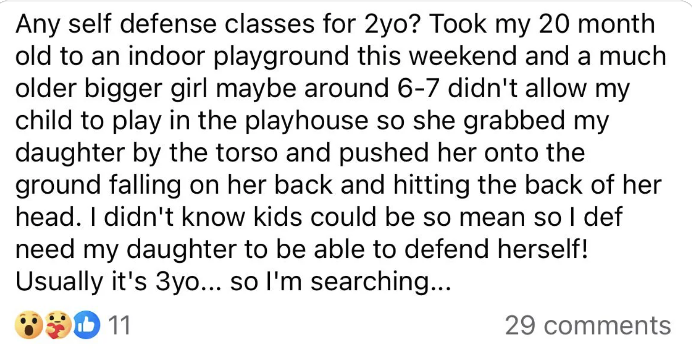 Text from a social media post expressing concern about a child&#x27;s safety after an incident at a playground and considering self-defense classes for the 2-year-old child