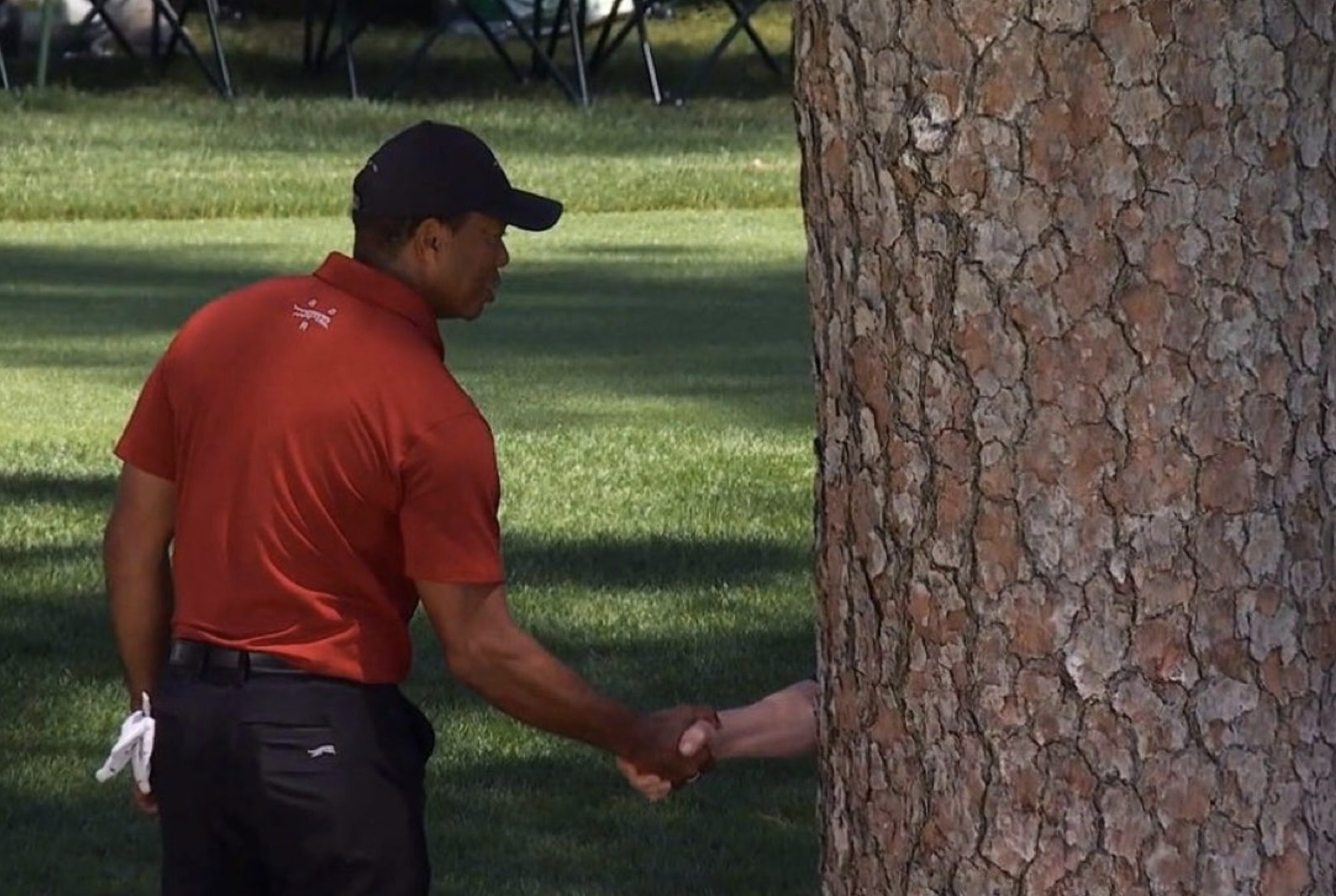 Tiger Woods shakes hands with a person obscured by a tree trunk on a golf course