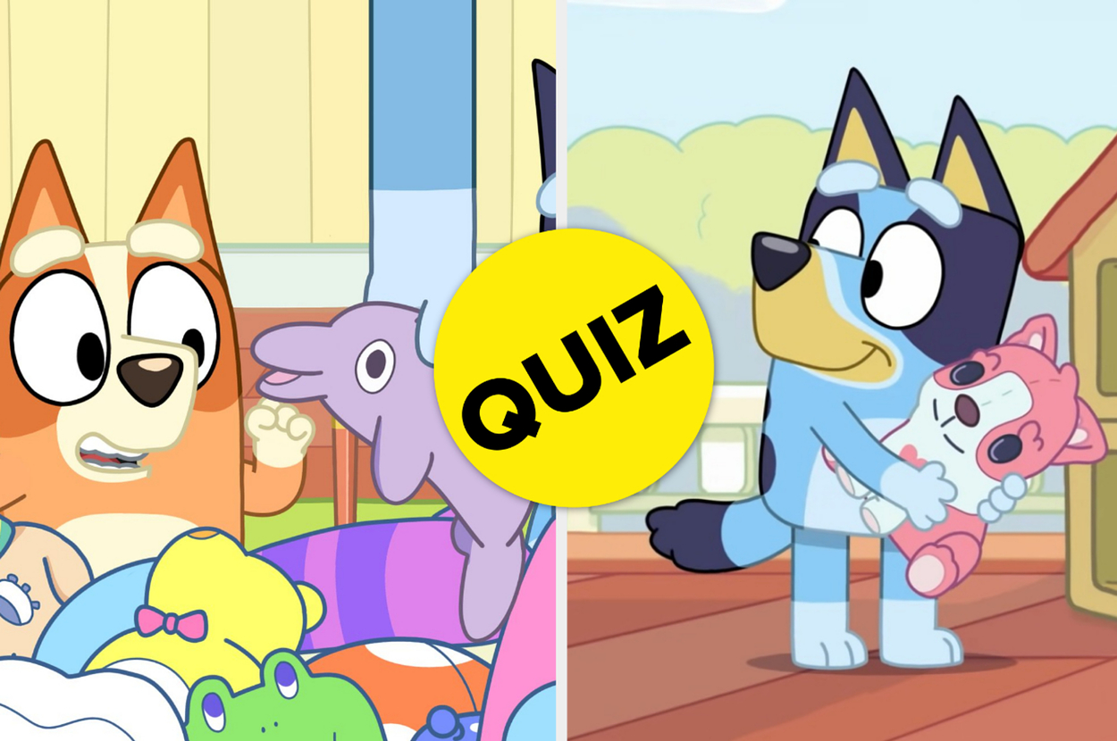Animated characters Bluey and Bingo on the left, Bandit holding baby sister on the right, with a "QUIZ" text overlay