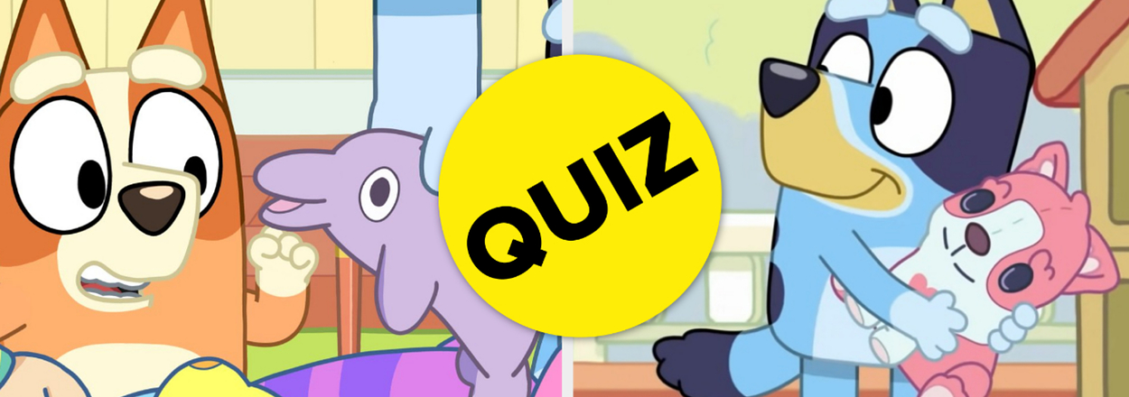 Animated characters Bluey and Bingo on the left, Bandit holding baby sister on the right, with a "QUIZ" text overlay