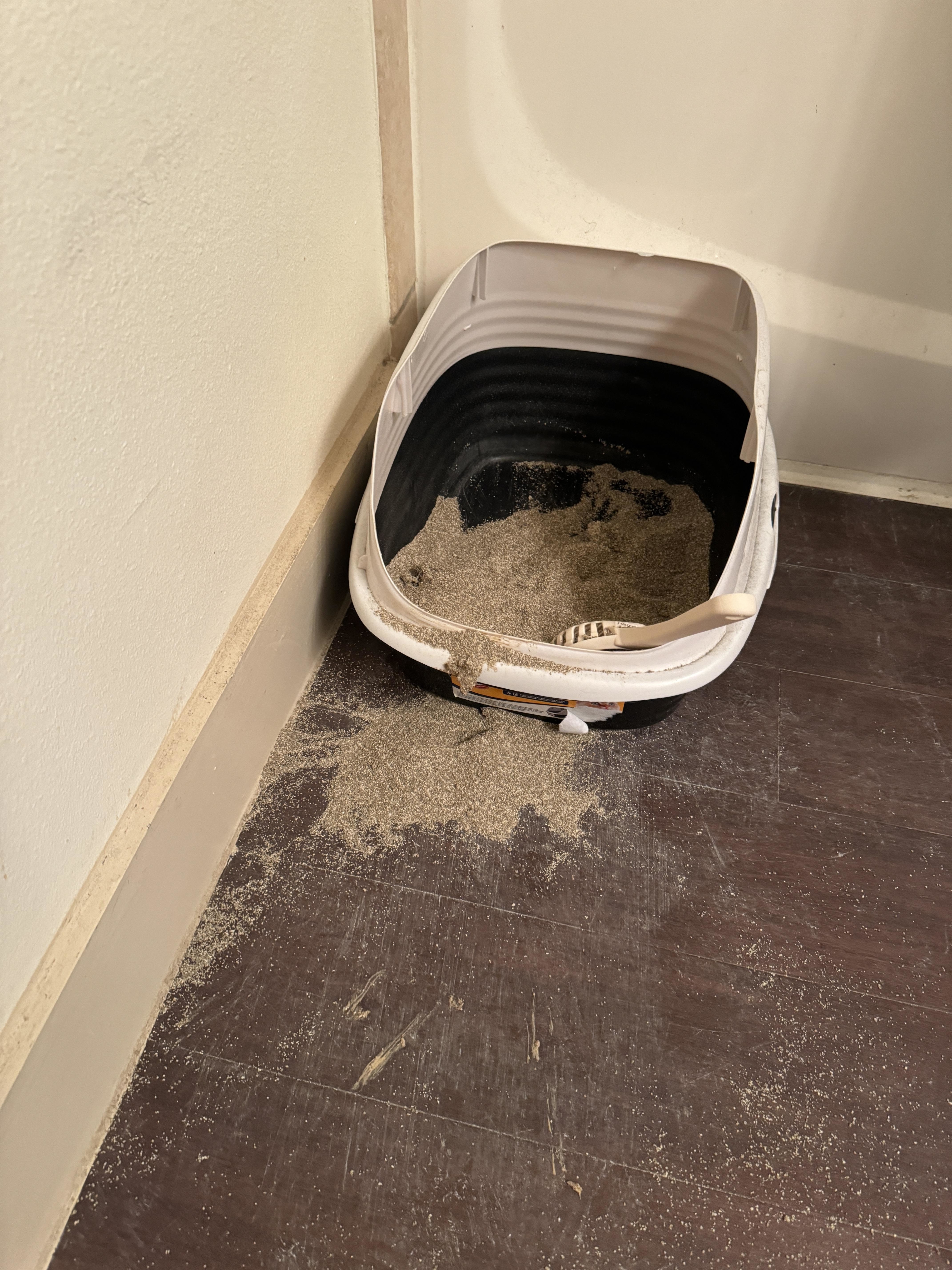 An overturned cat litter box with litter spilled on the floor