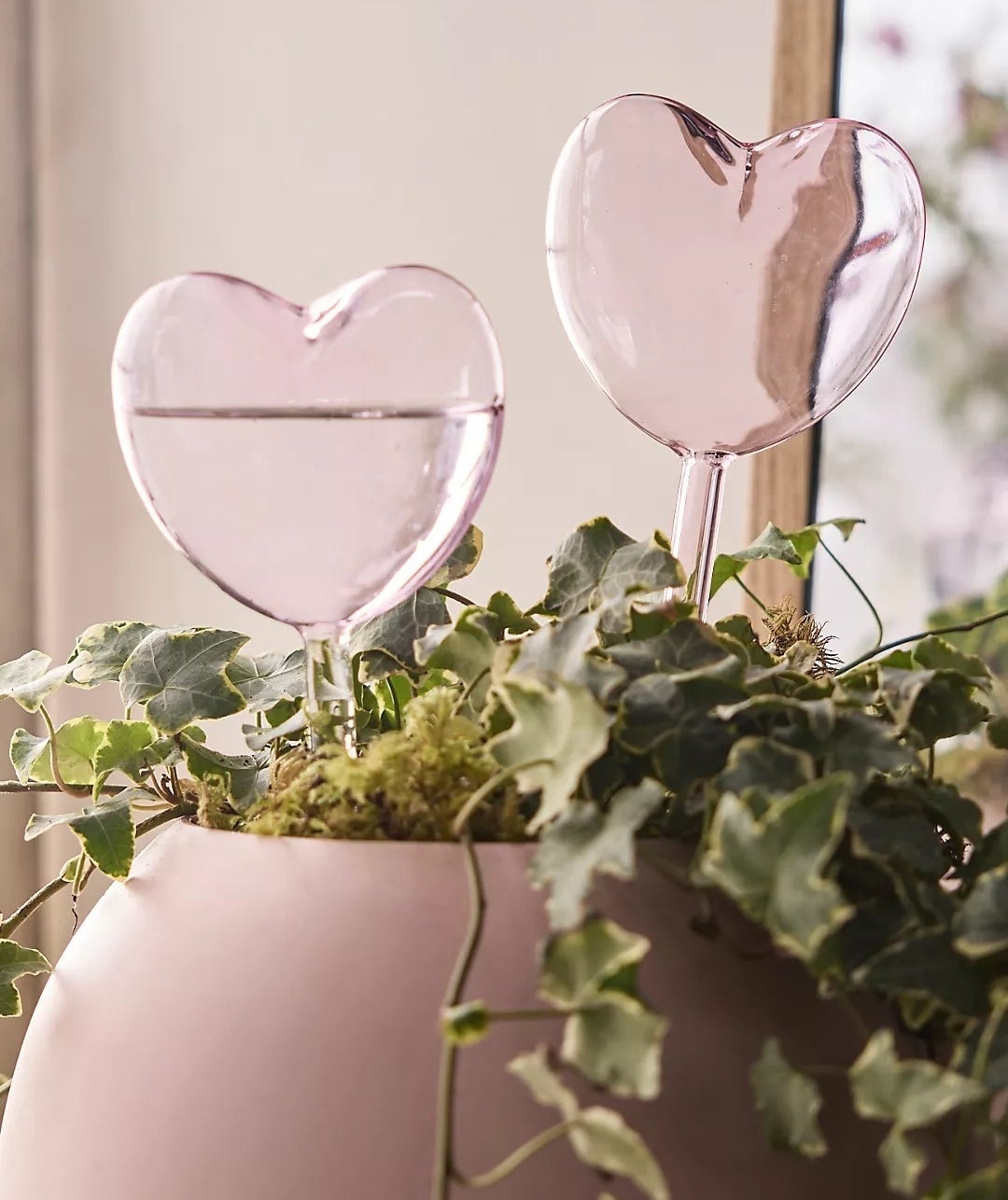 Two heart-shaped glasses in a pink vase with ivy, suitable for romantic table setting