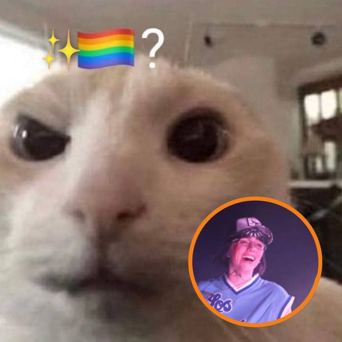 Gato mirando fijamente con una bandera LGBTQ+ en la esquina y una imagen pequeña de una persona con una gorra y camiseta de béisbol