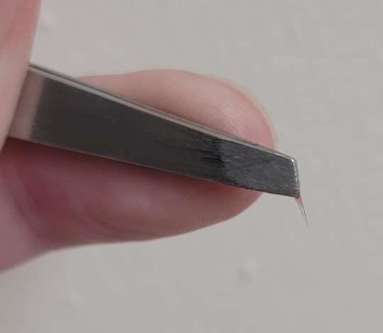 Close-up of tweezers holding a tiny metal splinter, showcasing precision. Used in an article about internet finds