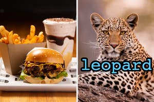 On the left, a tray with fries, a cheeseburger, and a chocolate shake, and on the right, a leopard
