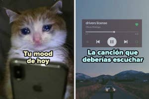 Meme dividido en dos: a la izquierda, un gato frente a un teléfono, y a la derecha, captura de pantalla de la canción "drivers license" de Olivia Rodrigo