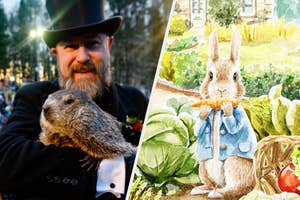 Man in top hat holding a groundhog on the left, illustration of Peter Rabbit on the right