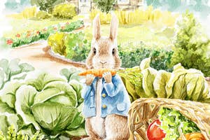 Peter Rabbit eating a carrot in the garden.