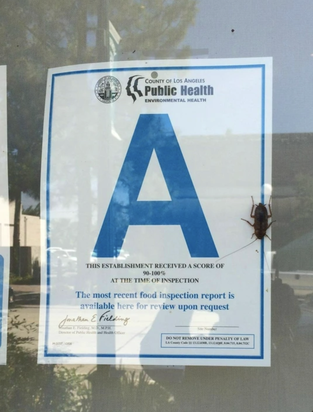 Los Angeles County health inspection grade &#x27;A&#x27; posted on a window with a cockroach on it