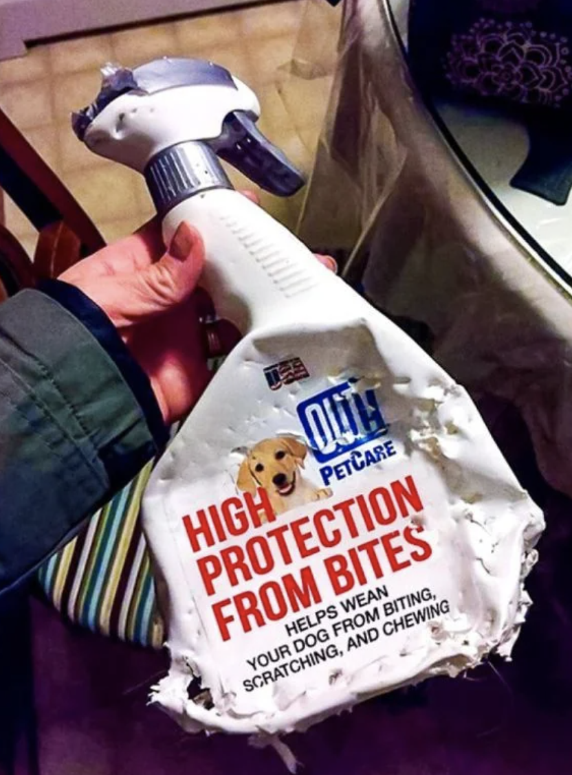 Chewed dog protection spray bottle, ironically damaged by a dog&#x27;s bite