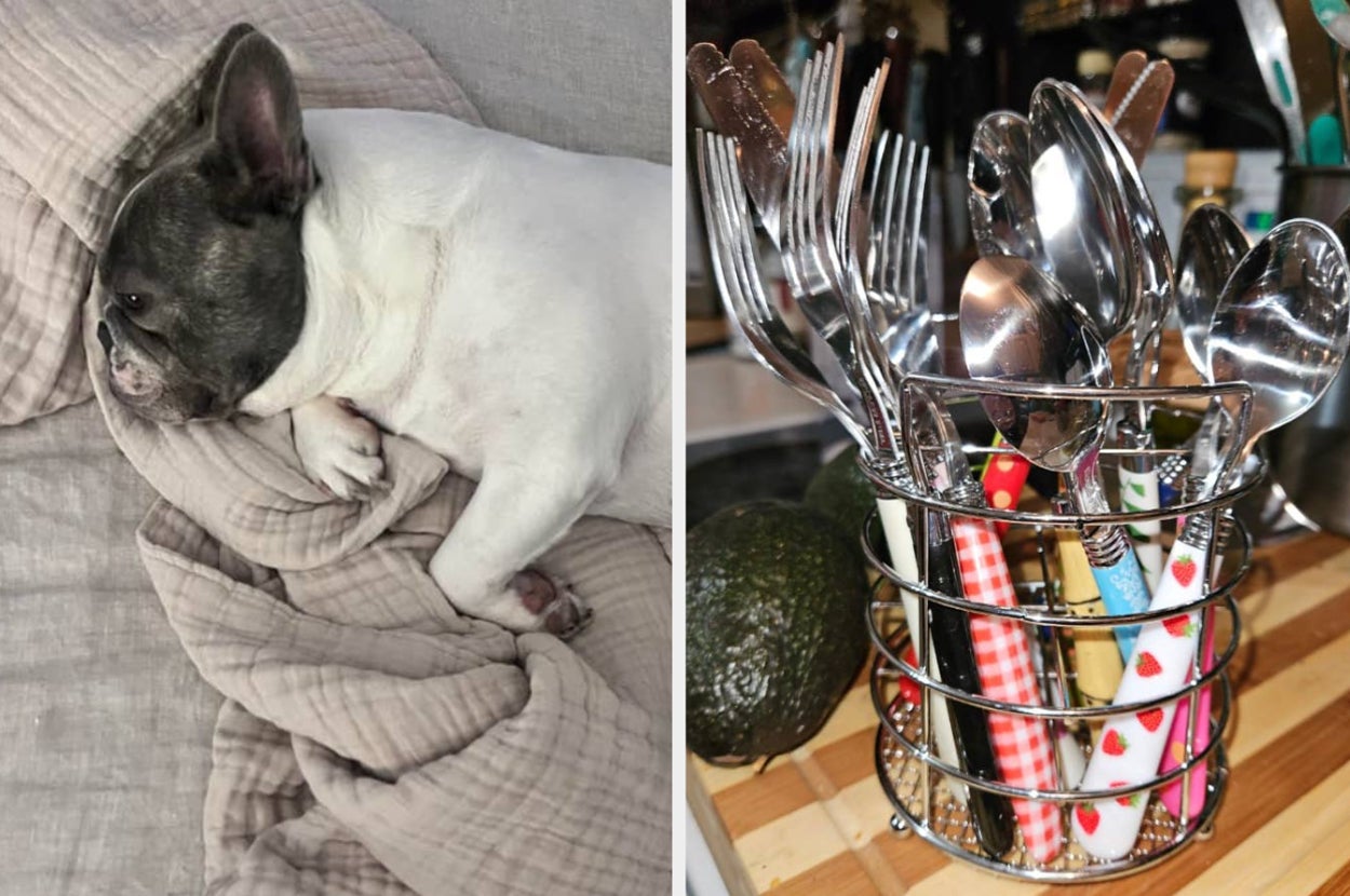 46 Impulse Buys You'll Be Glad You Purchased - Vimarsana News