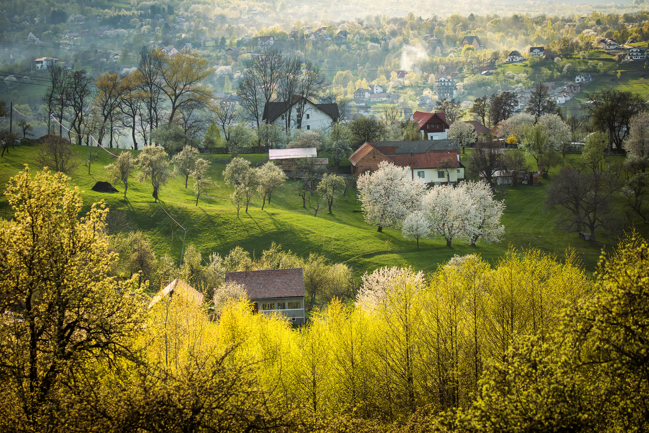 Spring landscape with blooming trees and village houses on a hillside