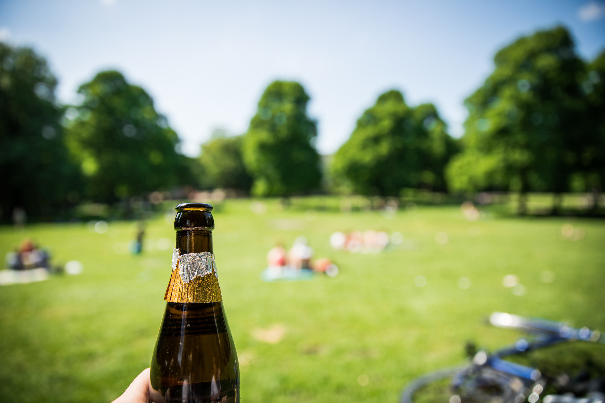 Hand holding a champagne bottle in a park with people sitting on the grass in the background