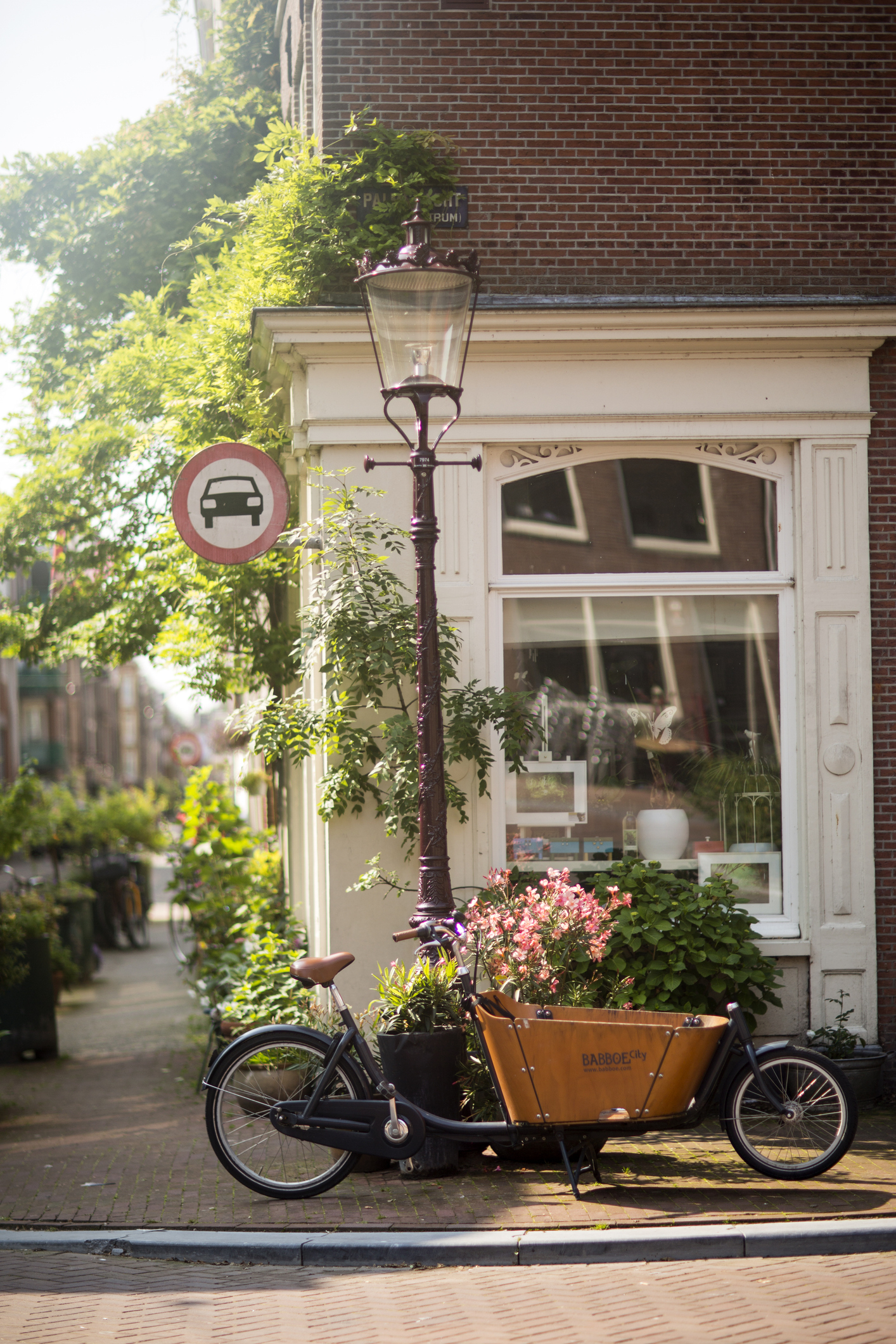 Vintage-style bicycle with a front cargo basket parked beside a lamppost on a sunny street