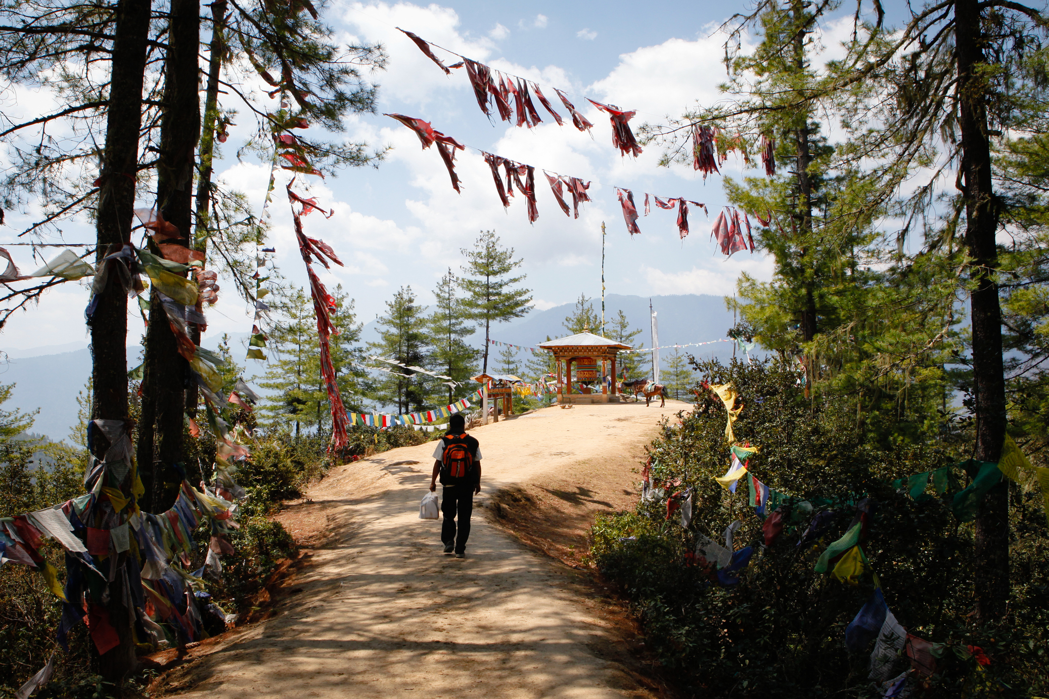 Person walking towards a small pavilion with prayer flags among trees, scenic outdoor setting