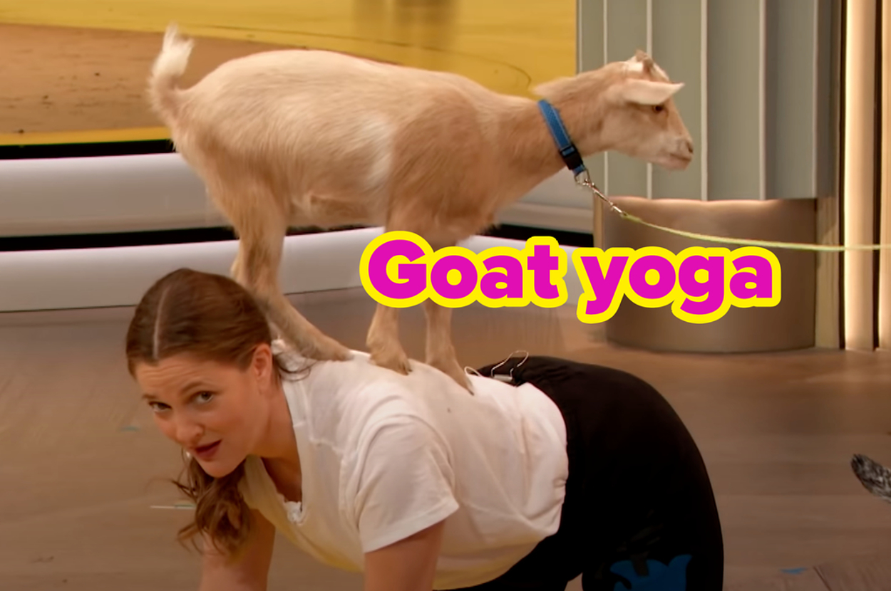 Drew Barrymore in a tabletop yoga pose with a goat standing on her back, text "Goat yoga" is overlaid.