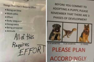 Poster with ironic message about effort, next to a puppy development chart urging to plan accordingly