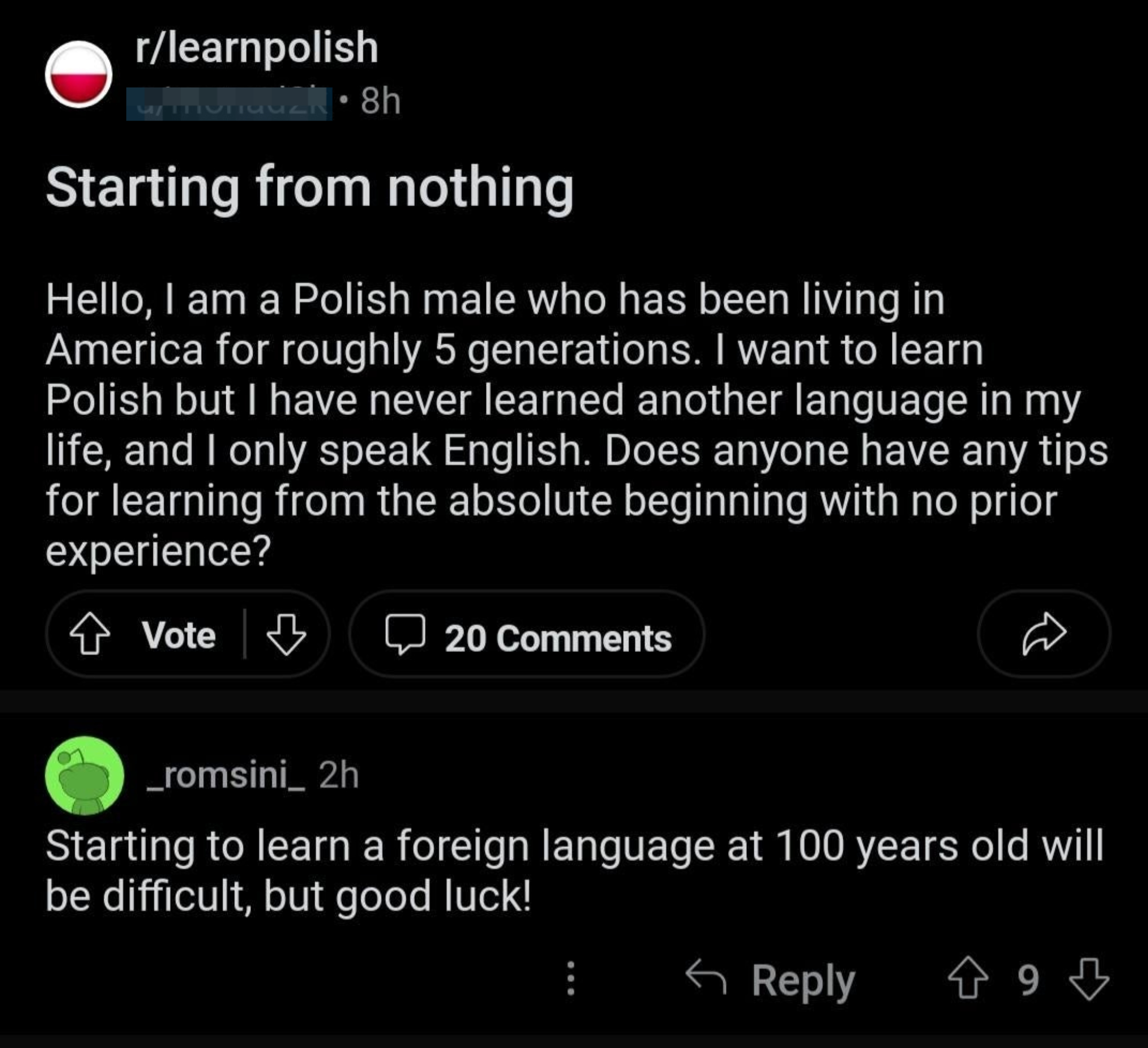 Reddit post seeking advice on learning Polish and a user&#x27;s encouraging response