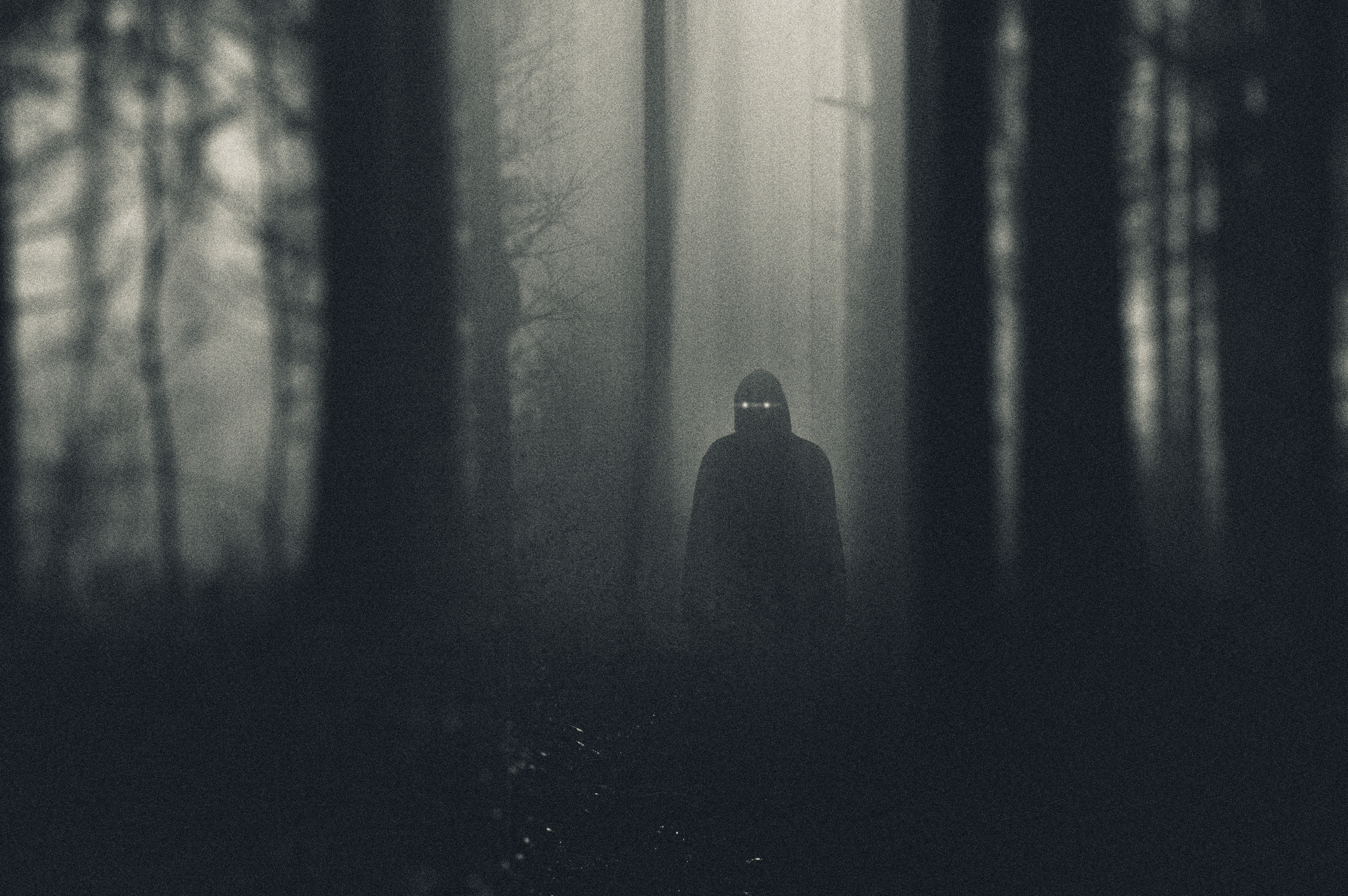 Silhouetted figure stands in a foggy, eerie forest creating a mysterious atmosphere