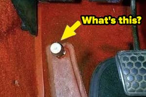 Yellow arrow points to a small round object on a carpet, with text "What's this?" suggesting a mystery find