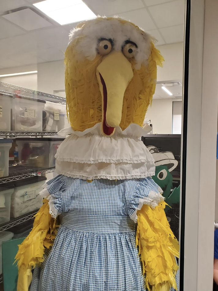 A scary Big Bird wearing a dress