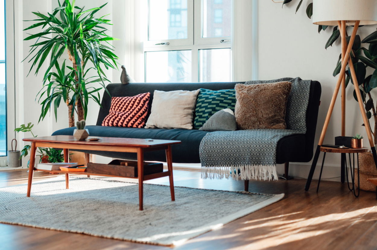 A cozy living room with a sofa, cushions, a plant, and a coffee table