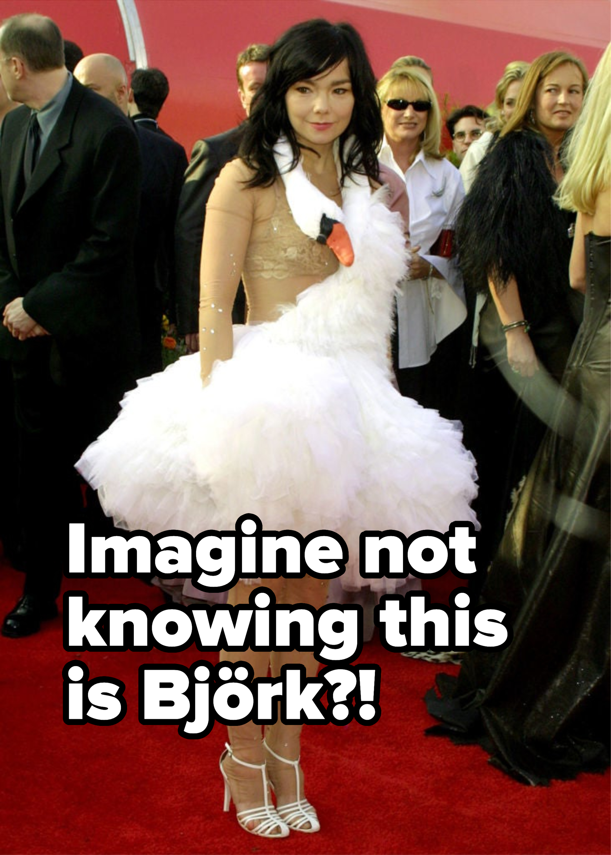 Person in a see-through top with white feathered skirt and strappy heels on the red carpet
