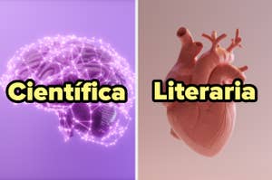 Cerebro y corazón representando las áreas científica y literaria respectivamente