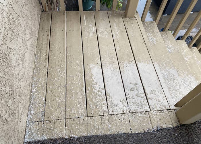 Wet wooden steps with scattered white petals after rain