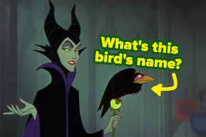Maleficent with her raven, text asks "what's this bird's name?"